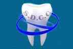 Shree Dental Care Centre