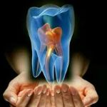 Kathuria Dental & Optical