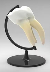 Okhla Dental Clinic & Implant Center