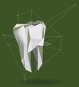 The Dental House
