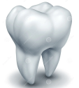 Asha Dental