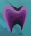 Mallick Dental Care