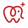 Dental Plus