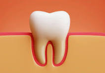 North Delhi Dental Centre
