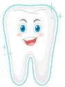 Dental N Braces