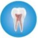 Dr. Gaurav Bhati Medi World Dental And Health Care