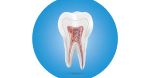 Sagar Dental Care