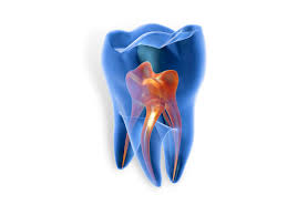 Saini Dental Hospital