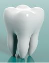 Dental Solution