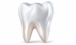 Bansal Dental Health Point